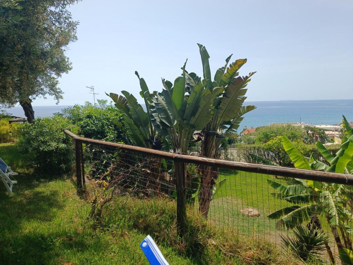 La Dea Del Mare Apartment Forio di Ischia Exterior foto